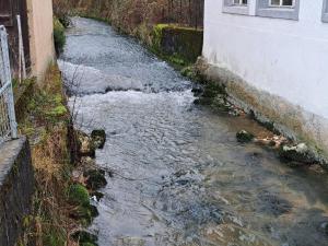 Příroda nedaleko ubytování v soukromí