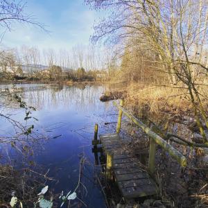 Galeriebild der Unterkunft WOW Schickes Penthouse bei Bregenz Dornbirn in Fußach