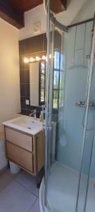 een badkamer met een wastafel en een douche bij La Tour de Véra in Auriac-du-Périgord