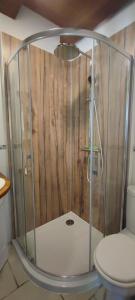 een douche in een badkamer met toilet bij La Tour de Véra in Auriac-du-Périgord +27 foto's