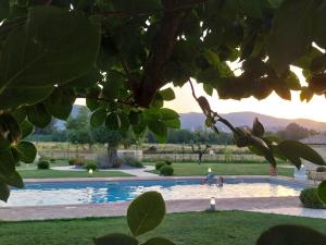 Bazén v ubytování Agriturismo Tenuta Filippi nebo v jeho okolí