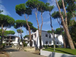 a row of trees in front of a white building at Berta in Rosolina