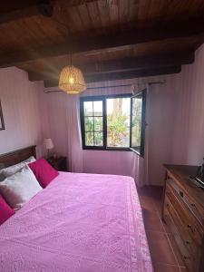 En eller flere senge i et værelse på Cozy Canarian guesthouse with large garden