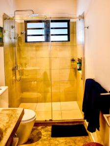 a bathroom with a shower and a toilet at Cottage for Couples with Pool, BBQ and views in Tamarin +13 photos