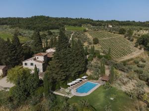 an estate with a swimming pool and a vineyard at Podere Lupinati in Panzano