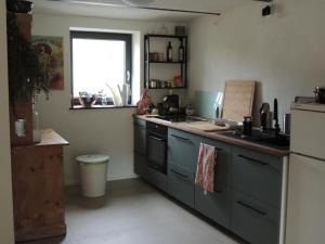 Kuchyň nebo kuchyňský kout v ubytování Scheunen-Loft am Gelbachtal + 21 fotografií