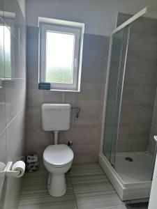 a bathroom with a toilet and a shower and a window at Apartment Mate in Bibinje +7 photos