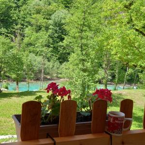 Gallery image of Tara Rafting kamp Hedera in Foča