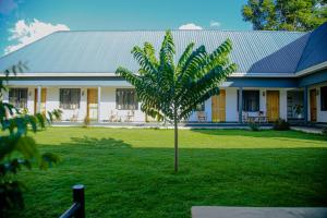 a house with a palm tree in the yard at Hakuna in Arusha