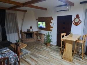 uma sala de estar com lareira e TV em 7 kruna Žiče em Žiča