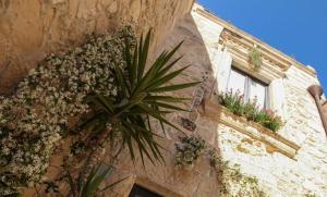 Fotografie z fotogalerie ubytování B&B Demetra Appartamenti v destinaci Lecce