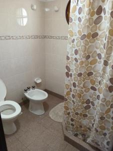 Un baño con inodoro y cortina de ducha. en Tinkunaco Merlo, en Merlo 22 fotos más