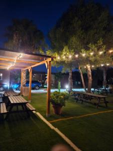 Vonkajšia záhrada v ubytovaní Bungalows Park Albufera
