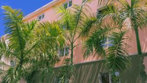 Fotografie z fotogalerie ubytování Hotel Marimba Punta Cana v destinaci Punta Cana
