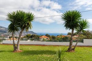 Fotografie z fotogalerie ubytování Casa Terrea, vista Mar montanha ideal Familias ou Casais ve Funchalu