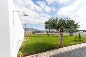 Fotografie z fotogalerie ubytování Casa Terrea, vista Mar montanha ideal Familias ou Casais ve Funchalu