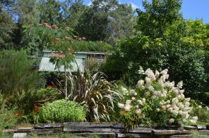 Jardin de l'établissement L'hippocampe