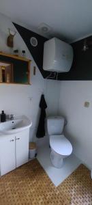 a bathroom with a white toilet and a sink at Przystań Osiek in Osiek