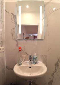 a bathroom with a sink and a mirror at Stadtjuwel Apartments 1020 Wien in Vienna
