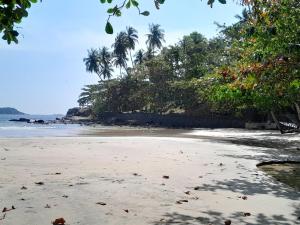 a sandy beach with palm trees and the ocean at sisi place in Dickwella +12 photos