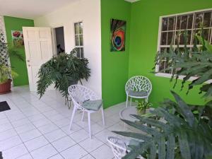 Zahrada ubytování Tropical Palm Retreat