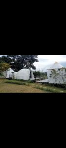 Zdjęcie z galerii obiektu View X & Camper ที่พักเขาค้อเต็นท์โดมขนาดใหญ่ w mieście Phetchabun