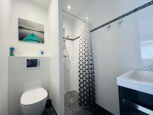 a bathroom with a shower and a toilet and a sink at Chambre indépendante avec frigo et micro-ondes in Poitiers