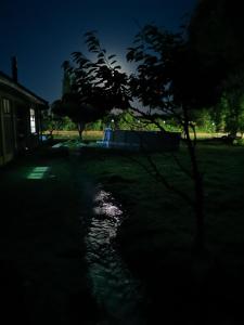 Photo de la galerie de l'établissement Molina, cerca de 7 Tazas, campo con animales, à Curicó 40 autres photos