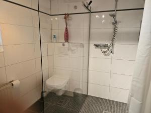 ein Badezimmer mit Dusche und Toilette in der Unterkunft Lounge 1 in Koblenz