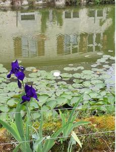 Galeriebild der Unterkunft Château de Rivoiranche in Saint-Paul-lès-Monestier