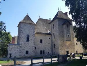 Galeriebild der Unterkunft Château de Rivoiranche in Saint-Paul-lès-Monestier