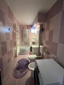 Ένα μπάνιο στο Apartament Dor de Munte Cavnic
