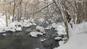 Gîtes Le Paradoxe des Pyrénées semasa musim sejuk