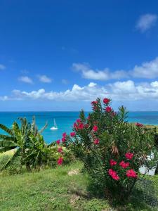 a view of the ocean with pink flowers at Mont Choisy Vue imprenable sur la mer et spa 2BDcanapé in Happy Bay +77 photos