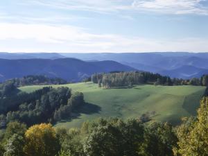 Gallery image of Schornhof in Oberwolfach