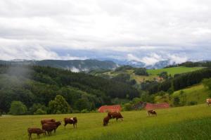 Gallery image of Schornhof in Oberwolfach