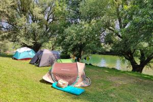 a group of tents in a field next to a lake at Camping Bela krajina - Pitches in Gradac