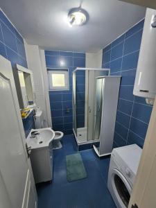 Koupelna v ubytování Apartman daba 1