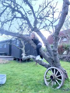 Gallery image of Traumwagen an der Mühle in Thalingburen +34 photos