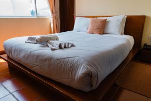 Letto o letti in una camera di Hotel Casa Kolping Quito