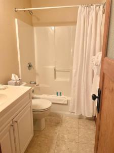 a white bathroom with a toilet and a shower at The Eastland Historic Hotel- Imperial Room in Eastland