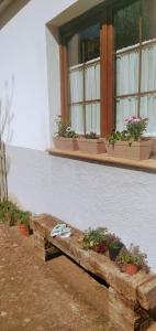 A garden outside Shui wu, la casita del agua
