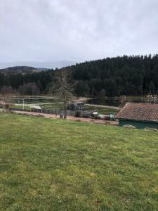 Příroda nedaleko prázdninového domu