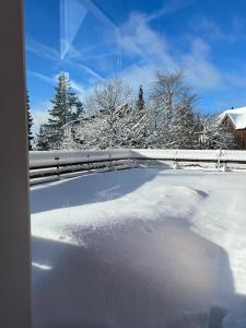 vistas a un techo cubierto de nieve de una casa en Harzer Weitblick, en Braunlage