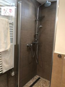 una ducha con puerta de cristal en un baño en Harzer Weitblick, en Braunlage