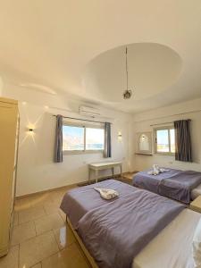 Ένα ή περισσότερα κρεβάτια σε δωμάτιο στο Sea Breeze Dahab +33 φωτογραφίες