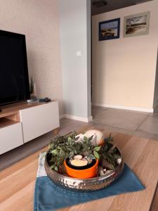 a living room with a bowl of plants and a tv at Gdansk Neptun Park apartament 4 osobowy przy plaży in Jelitkowo