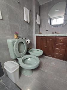 スクレにあるLa culta Eleganteのバスルーム(緑のトイレ、シンク付)