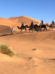 Tetamu yang menginap di Bivouac Le Petit Prince Merzouga