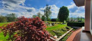 Zahrada ubytování Hotel Gasthof Jägerhaus
